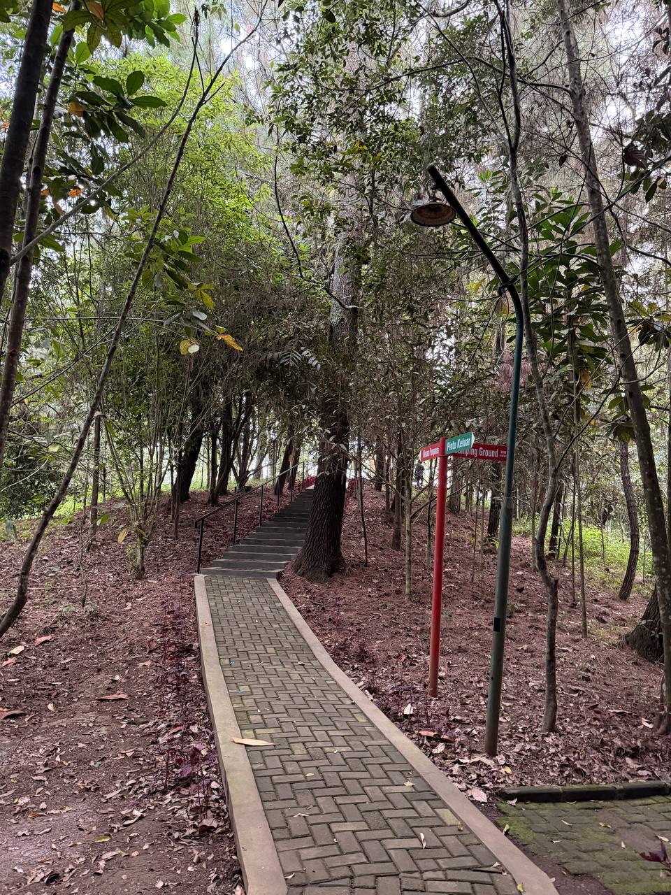 Brick path and stairway into the Tahura Djuanda forest at Tebing Keraton — red signpost marks trail entrance at dawn, Bandung