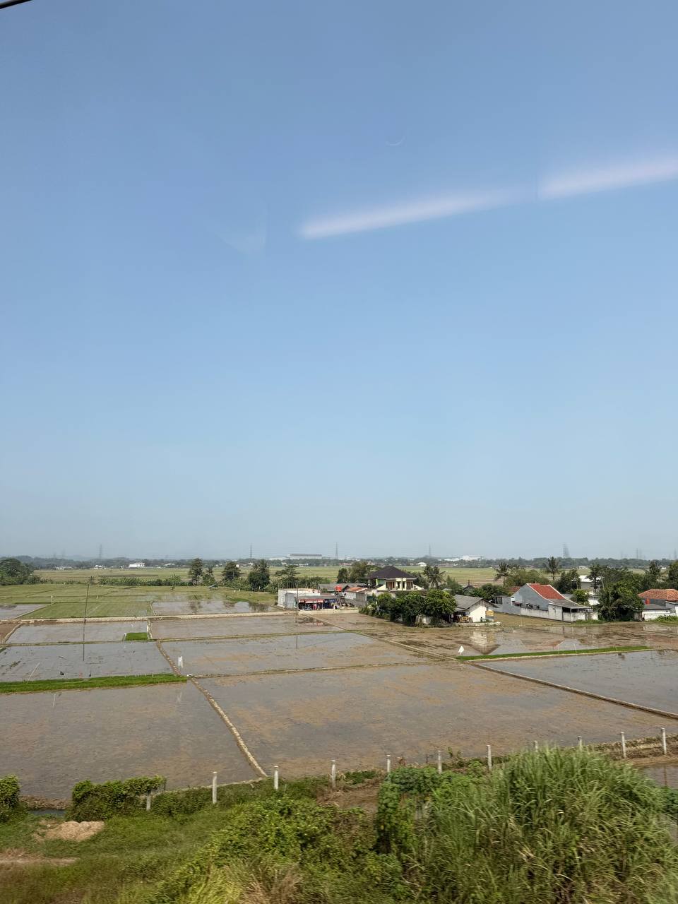 View from the Whoosh train window — rice paddies and rural West Java at 347 km/h