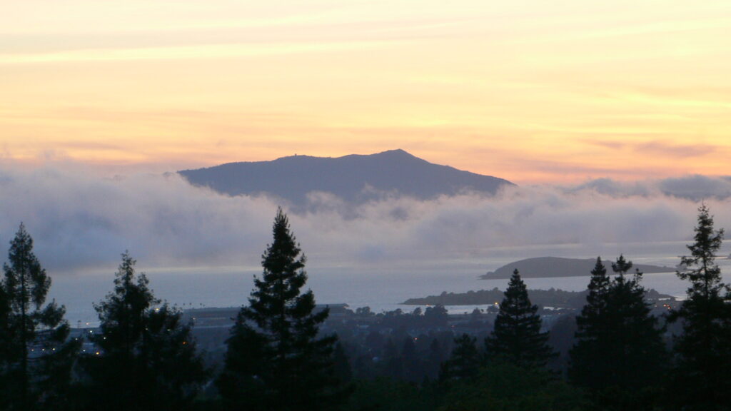 The Mount Tam Ride Every Bay Area Rider Should Do at Least Once